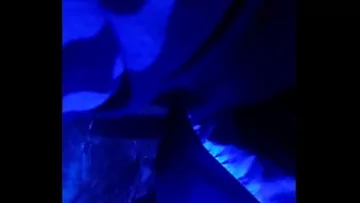 Play Sesiune de masturbare înflăcărată: Netflix și Chill ale amatorilor maturi excitați